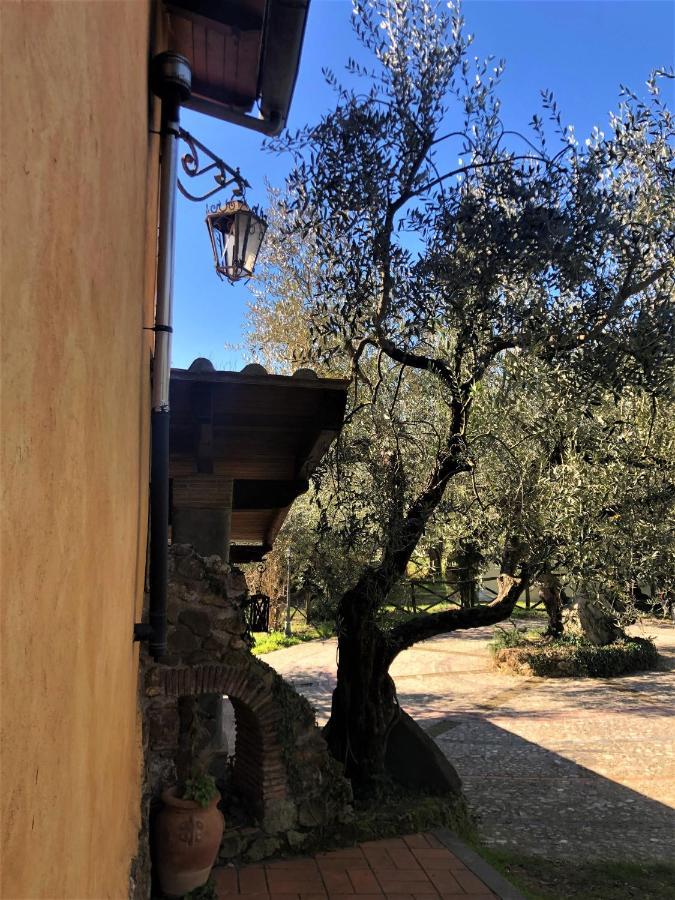Casale L'Antica Mola Villa Castel Madama Exterior foto