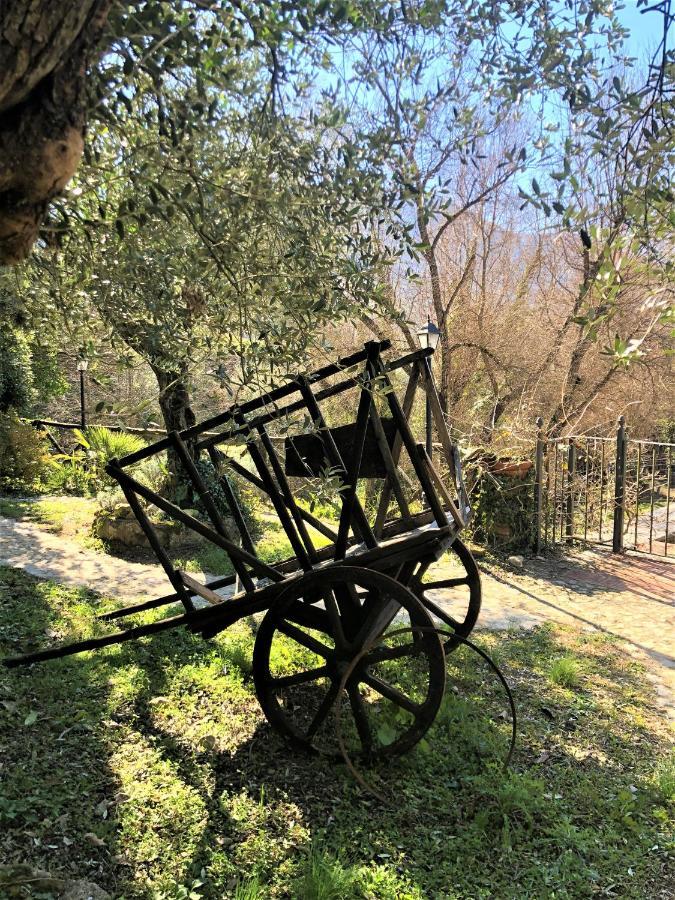 Casale L'Antica Mola Villa Castel Madama Exterior foto