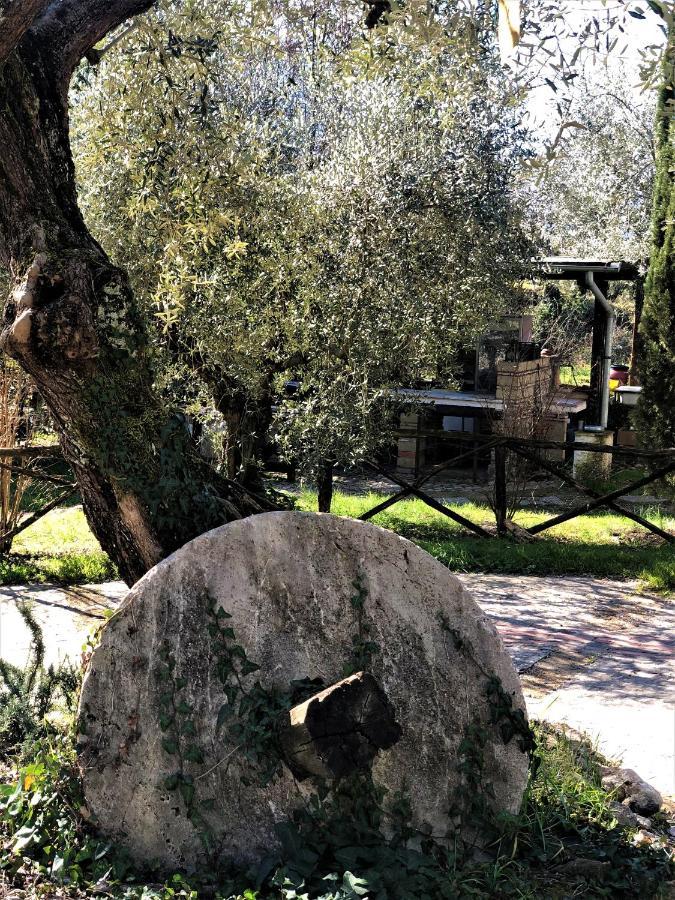 Casale L'Antica Mola Villa Castel Madama Exterior foto